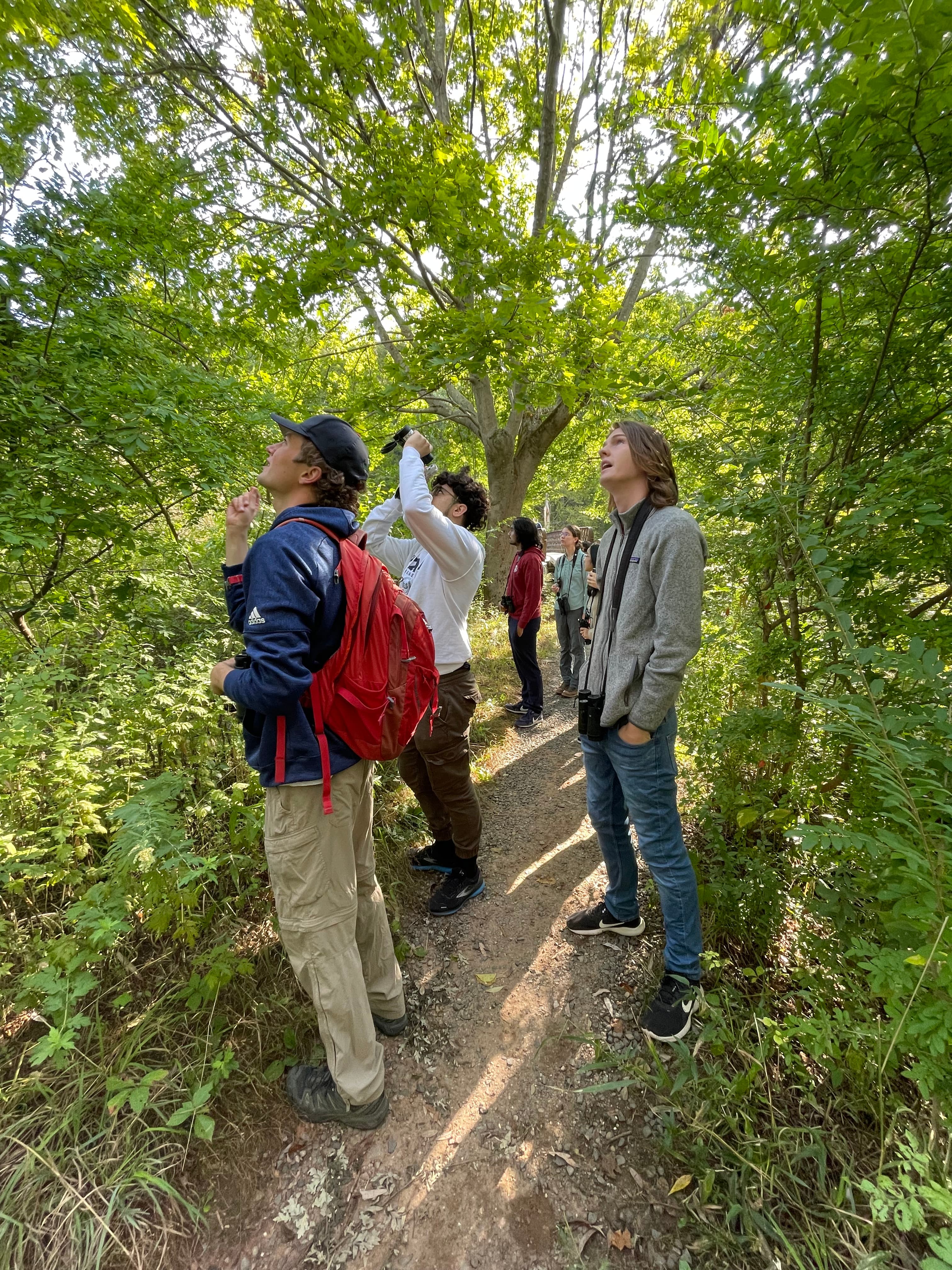 A photograph of YBSA on one of its birding trips.